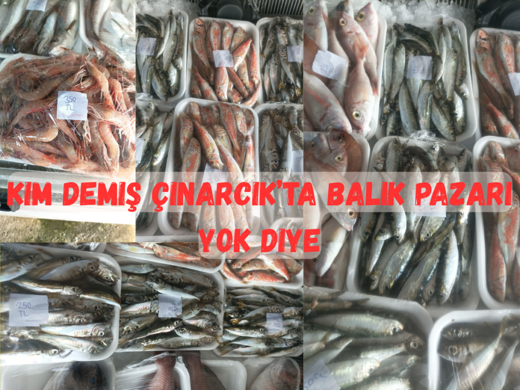 Kim Demiş Çınarcık’ta Balık Pazarı Yok Diye?