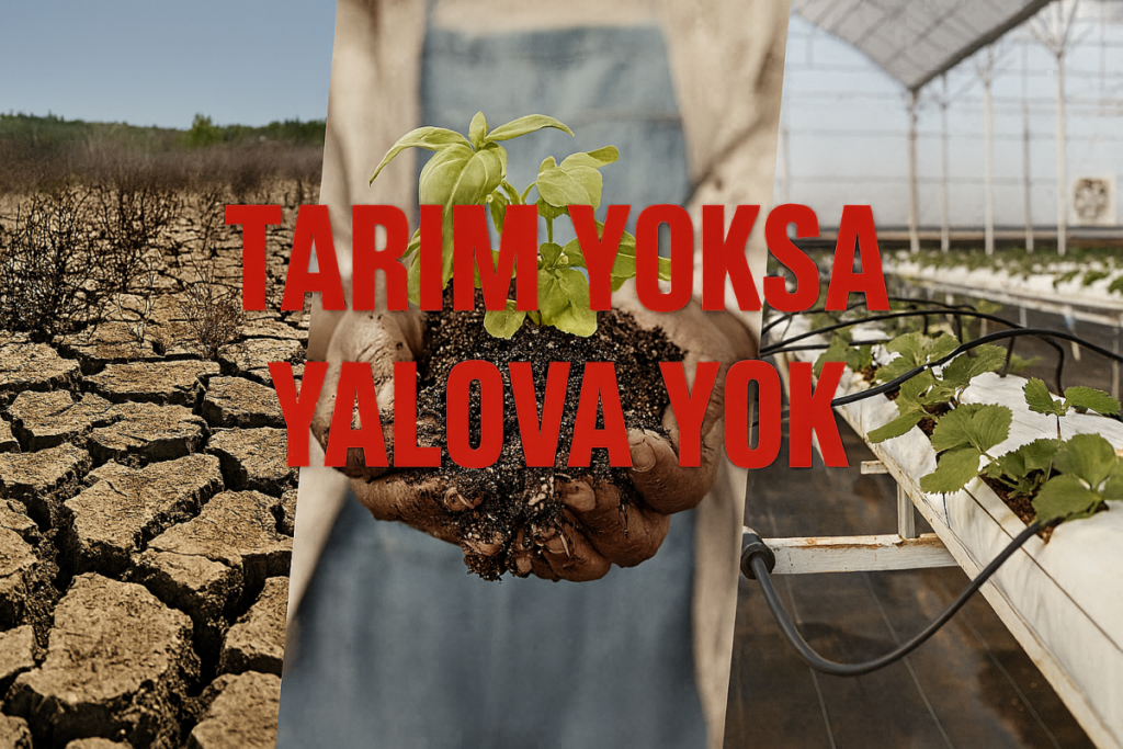 “Gerçekten Sahipsiz Yalova” Yalova Biterken Herkes Seyrediyor…..