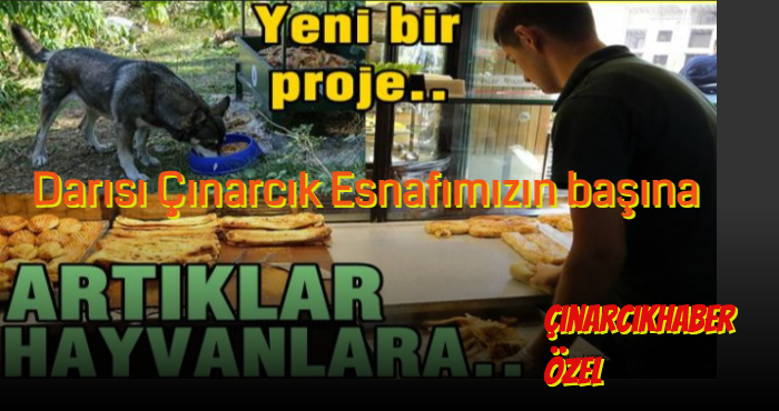 ÇınarcıkHaber Gazetesi Olarak Alkışlıyoruz.