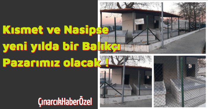 Balık Pazarımız Olacak Ama Ne Zaman?