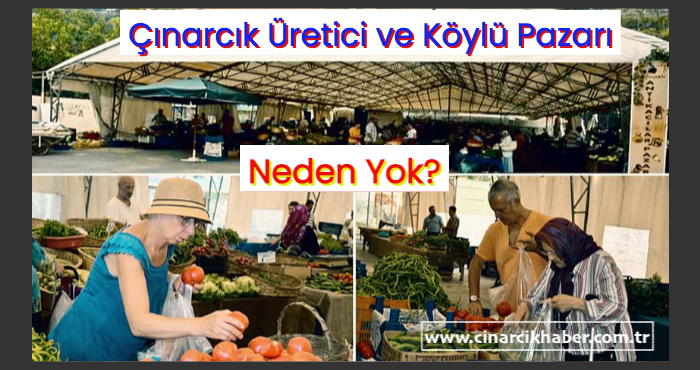 Neden Çınarcık’ta Güzel Şeyler Olmuyor?