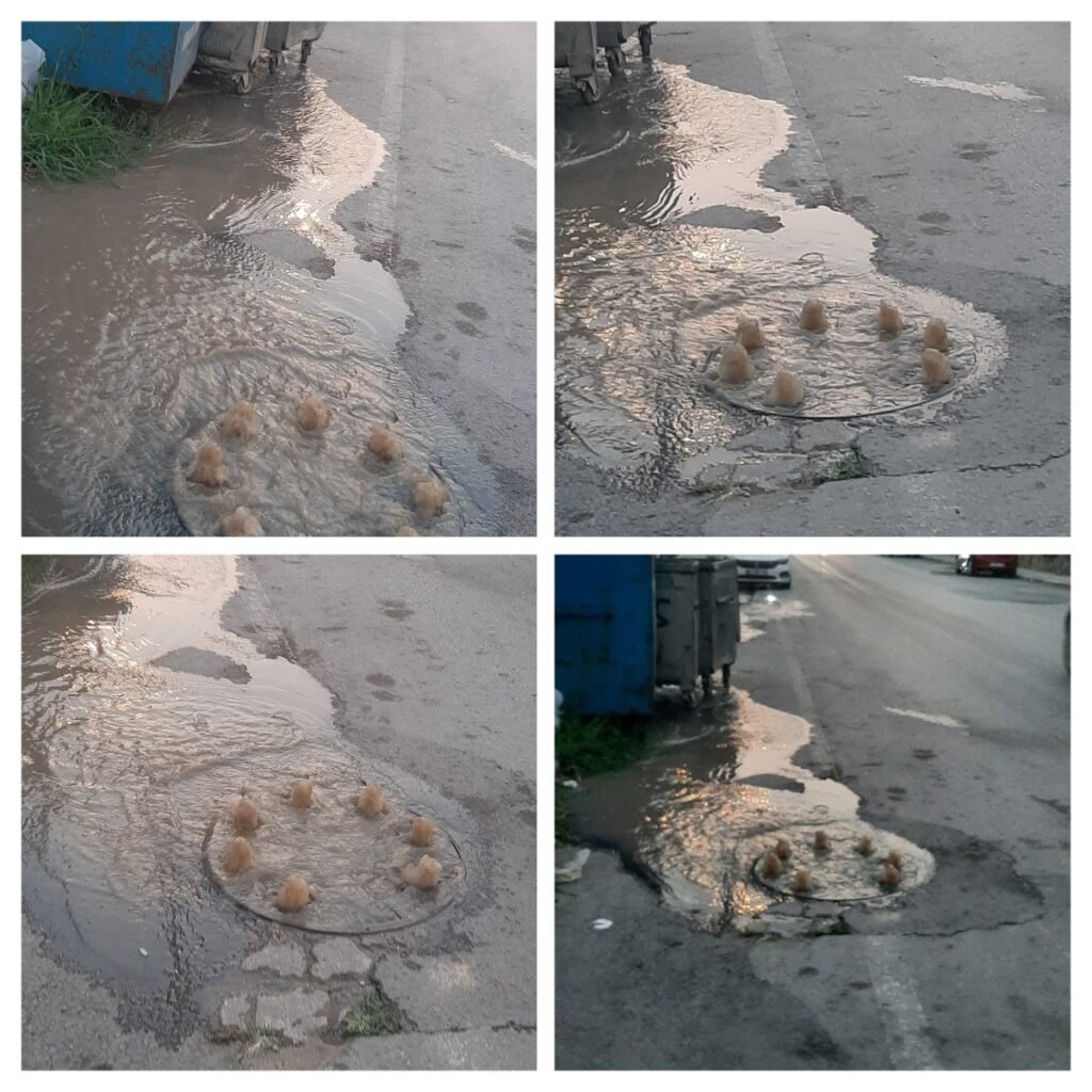 Gabar Dağın da Bekliyorduk Çınarcık’ta Çıktı
