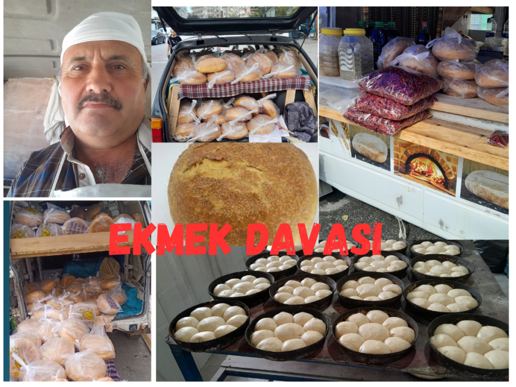 Yalova Çınarcık ta, Yıllardır Ekmek Kavgası Veriyor !