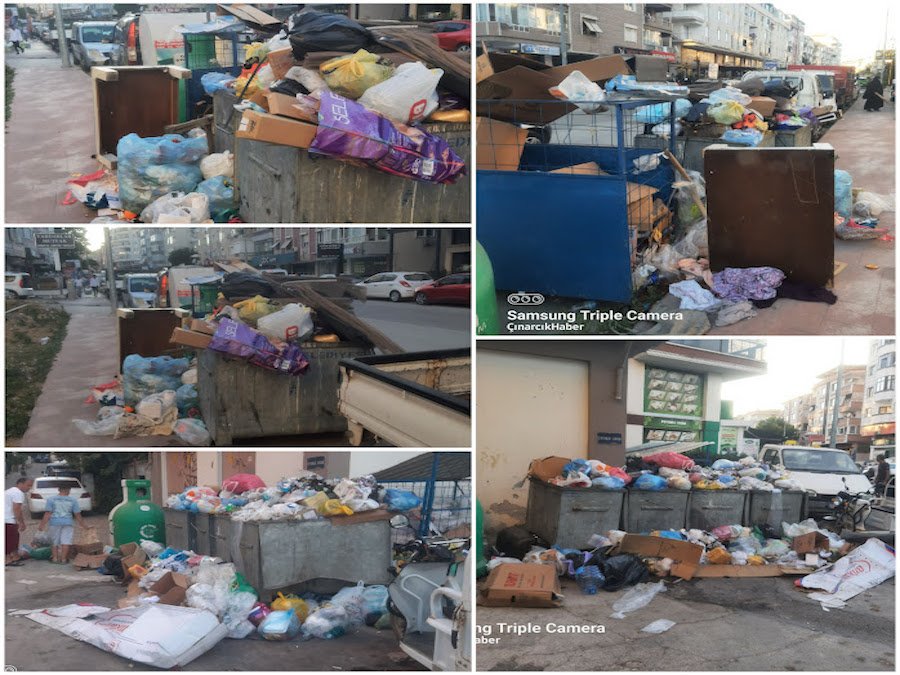 Çınarcık Belediyesin de Neler Oluyor ?