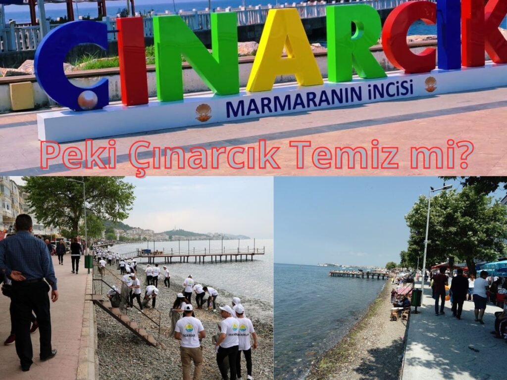 Dünya Temizlik Haftası Kutlanıyor, Peki Çınarcık’ımız Temiz mi?