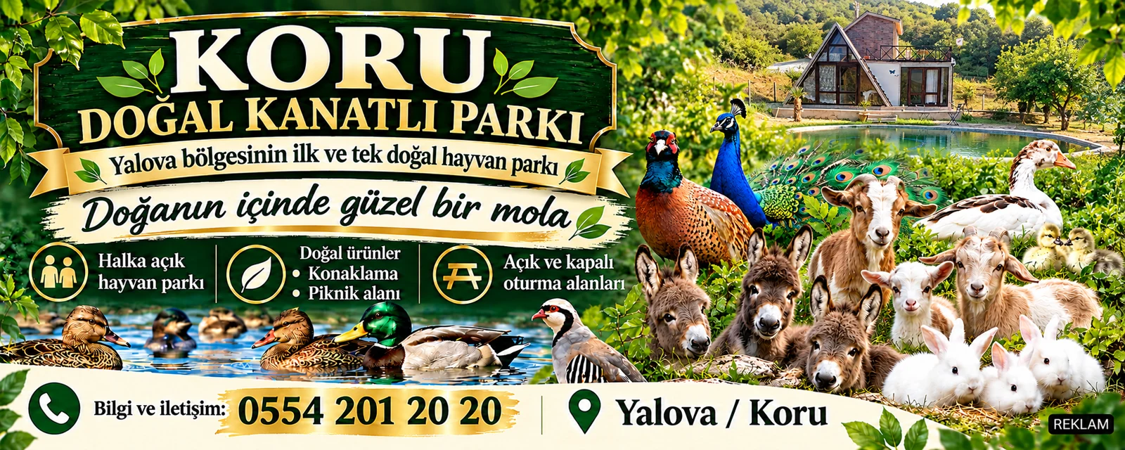 Koru Doğal Kanatlı Parkı, Yalova / Koru: hayvan parkı, doğal ürünler, konaklama, piknik, açık ve kapalı oturma alanları. İletişim 0554 201 20 20.